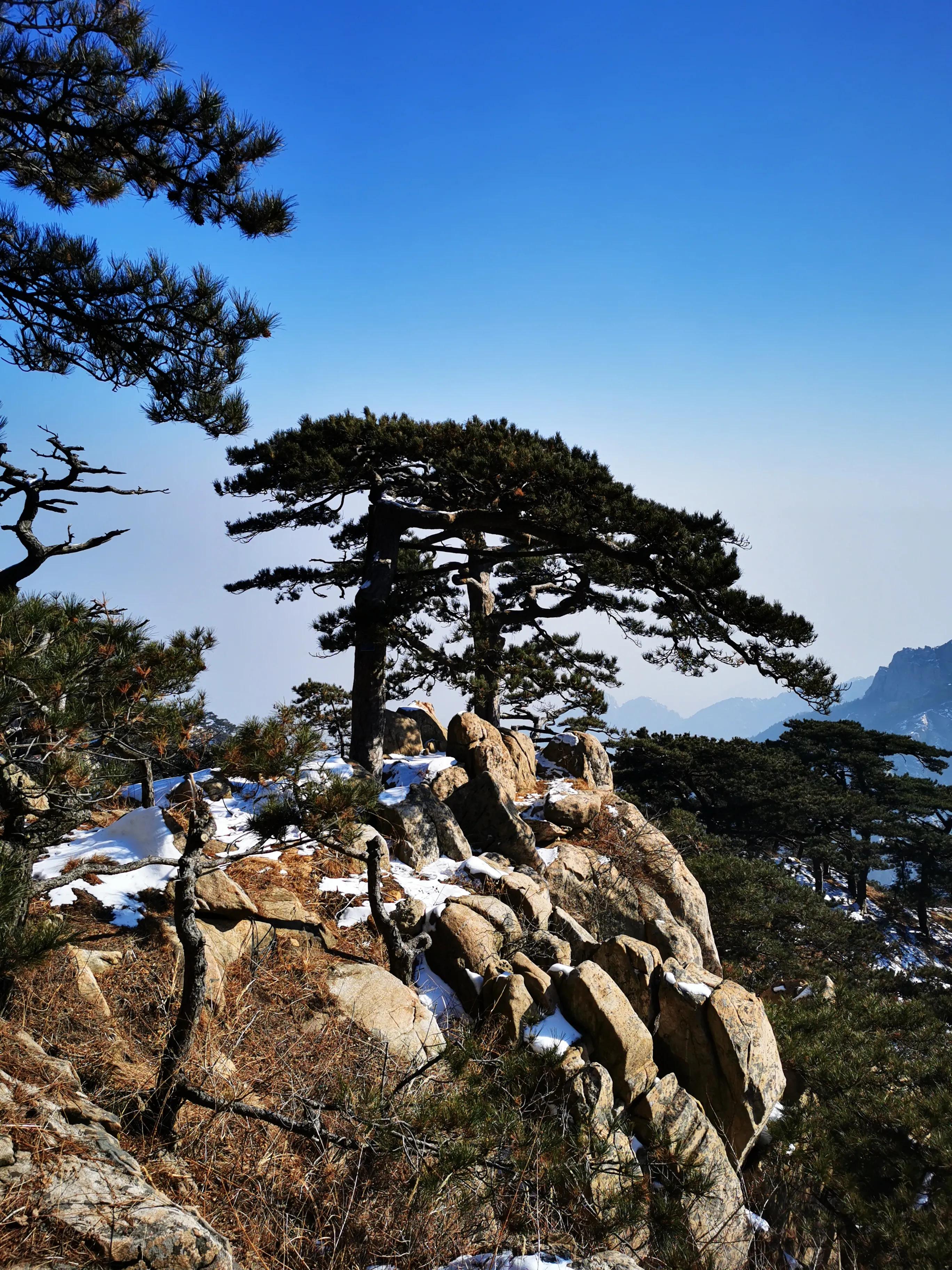 爬泰山攻略,泰山攻略完整版