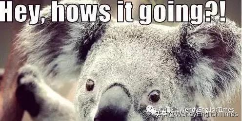 9NativeWaysofGreetingsResponse——9种地道的问候和回应方式