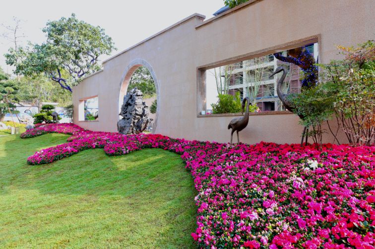 增城金叶子半山温泉，宛若漫步仙境！住温泉房，叹两餐+果园采摘