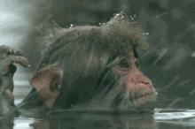 冬天什么时候洗发最好,冬天什么时候洗澡合适