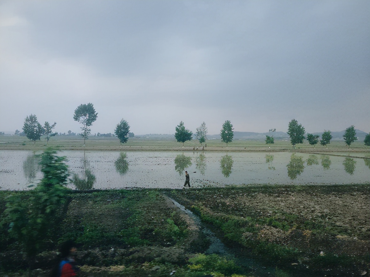 朝鲜没有一个人穿牛仔裤吗,在朝鲜卖牛仔裤