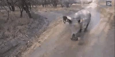 把中间的门店租下来取什么名字好,租下门面不知道取什么名字