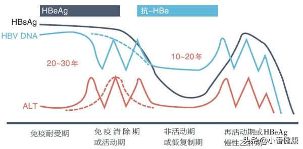 乙肝大三阳传染途径及防治方法,乙肝大三阳需要注意哪些问题