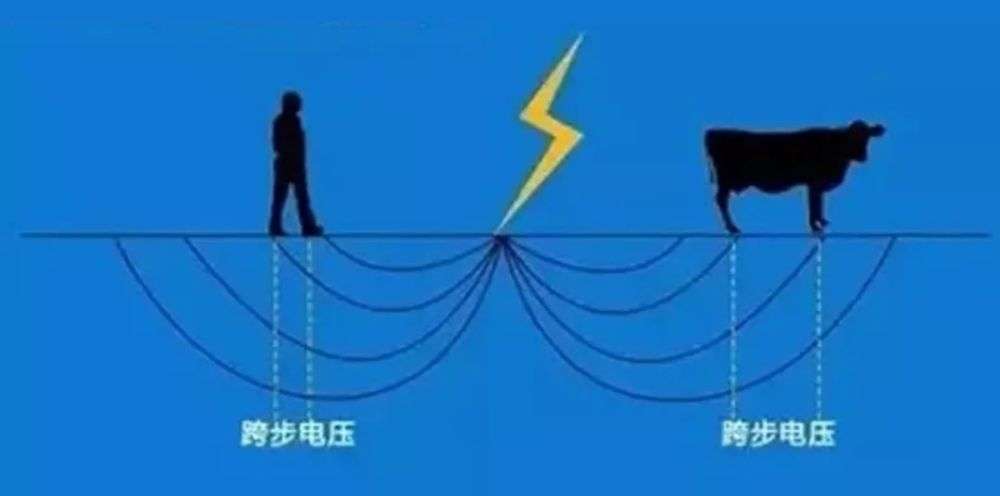 多名游客被雷击倒地,印度三名男子避雨被雷劈死