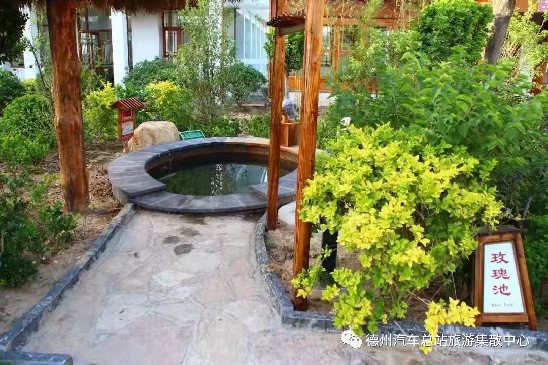 夏津德百温泉旅游小镇,夏津德百温泉价格
