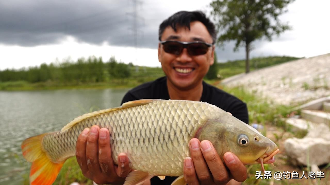春节什么风好钓鱼,北风转南风适合钓鱼吗