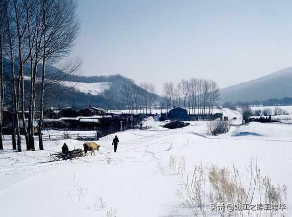 我的家在东北松花江上古诗,我的家在东北松花江上诗词