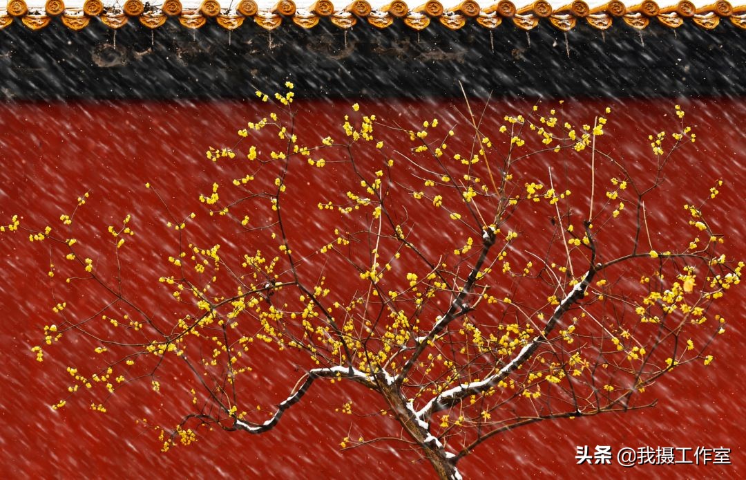 第16届国际摄影艺术展获奖作品,第29届全国摄影艺术展览作品集