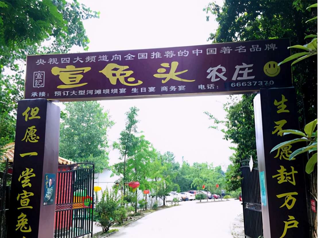 宣兔头丨我们需要不忘初心的女企业家！拒绝高薪低能的女星