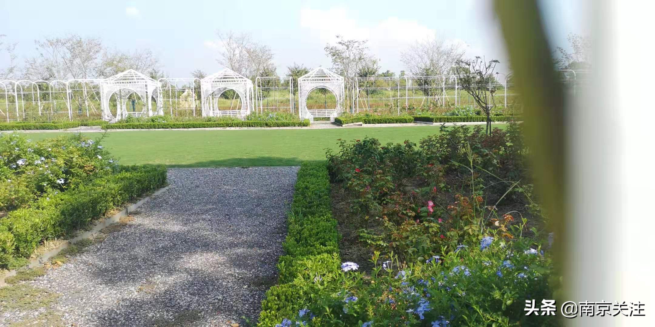 南京五一必打卡花海推荐,南京秋季网红打卡景点