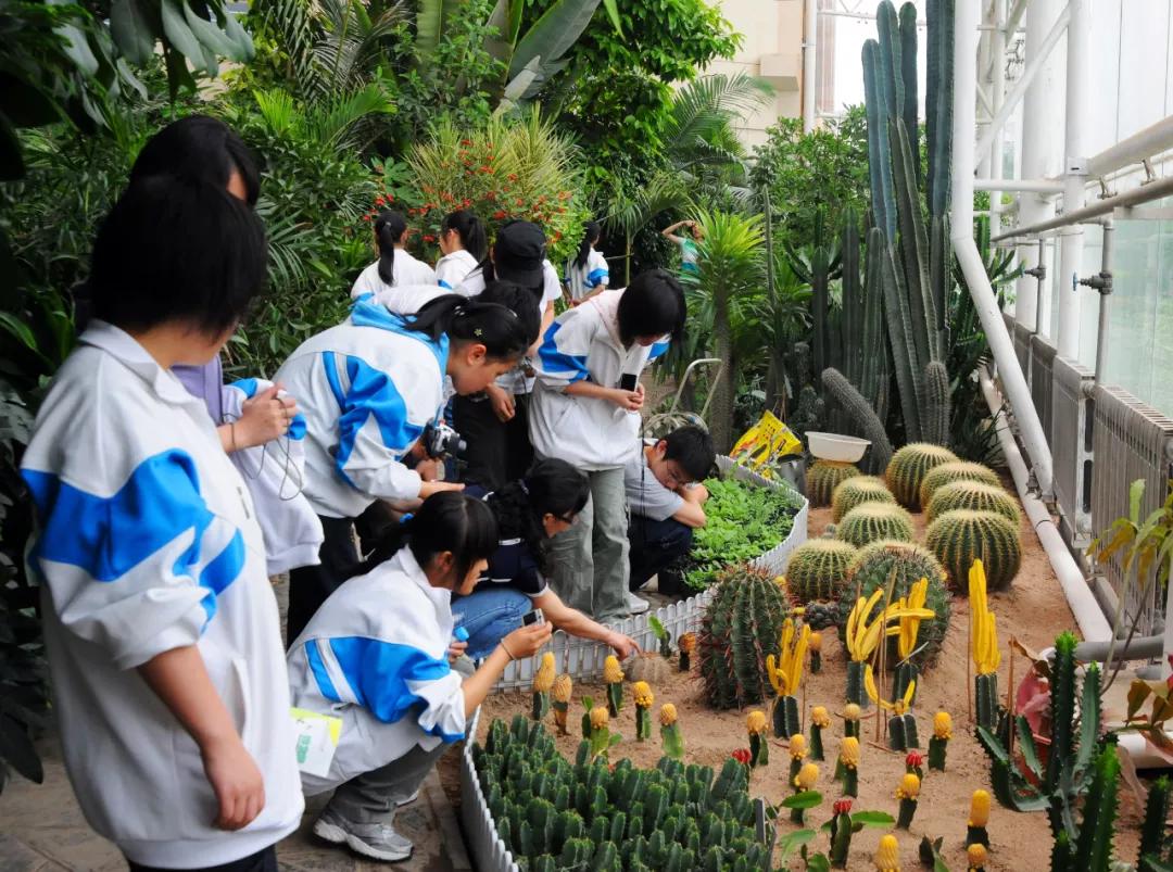 唐南中学初中部怎么样,西安高新唐南中学是哪个区的