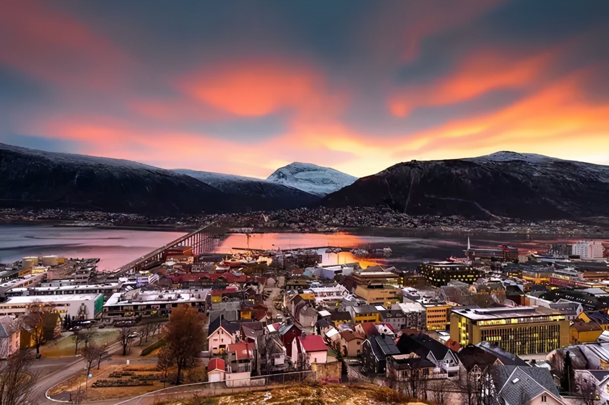 凉拌黄瓜100克,凉拌黄瓜一盘