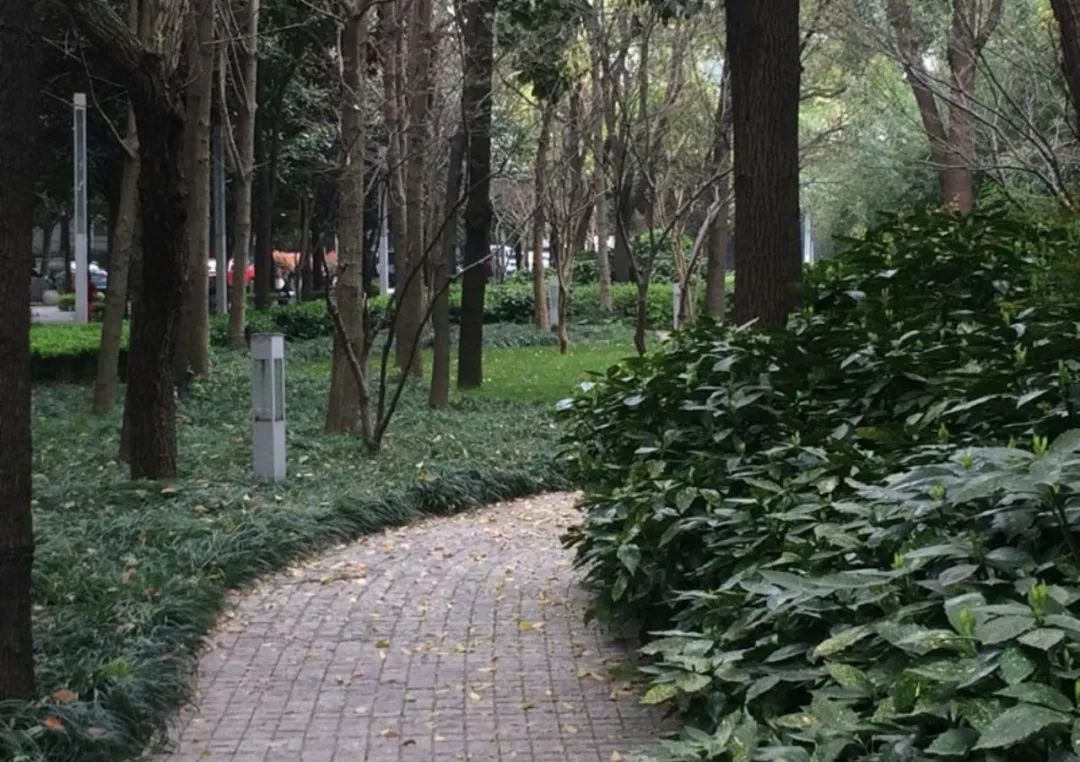 一年招生200人,一年招生3000人多不多