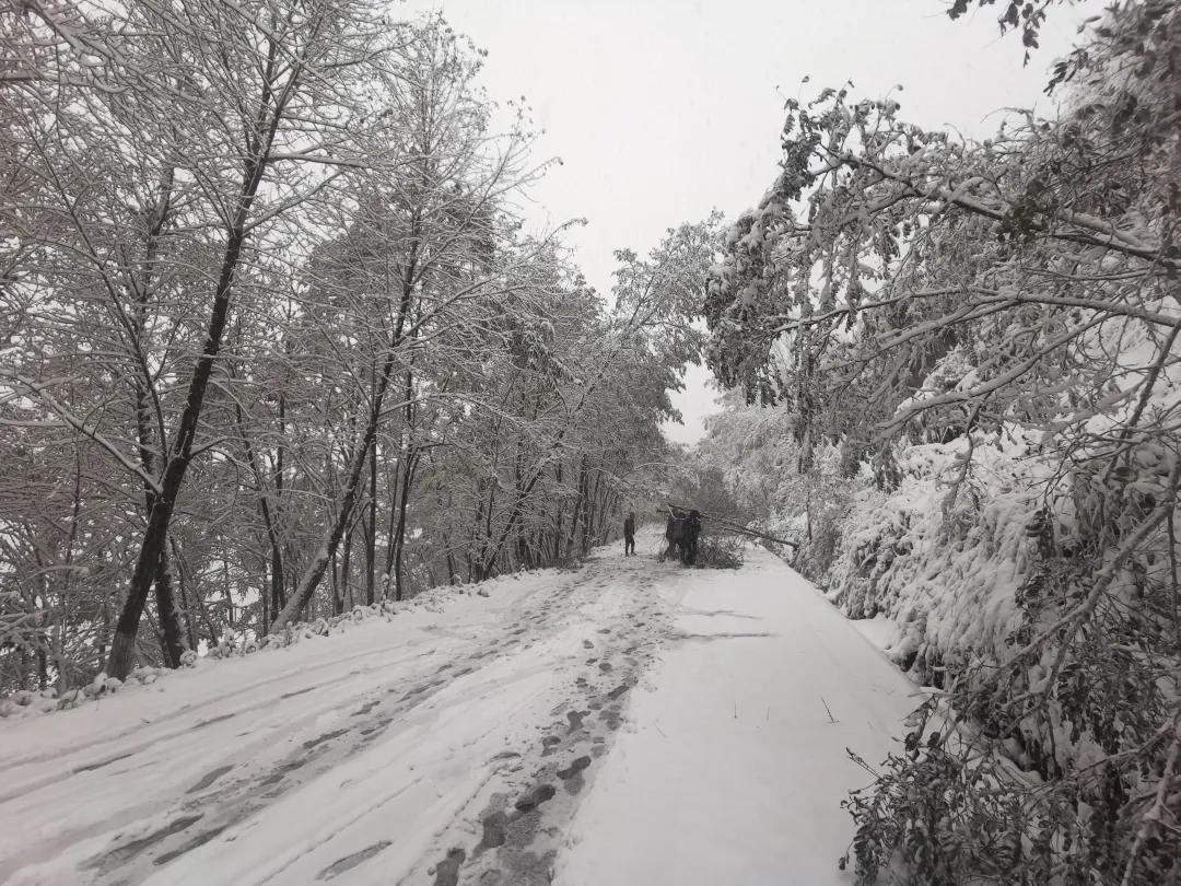 平凉崆峒区四路车现在停运了吗,平凉长途客车停运了吗