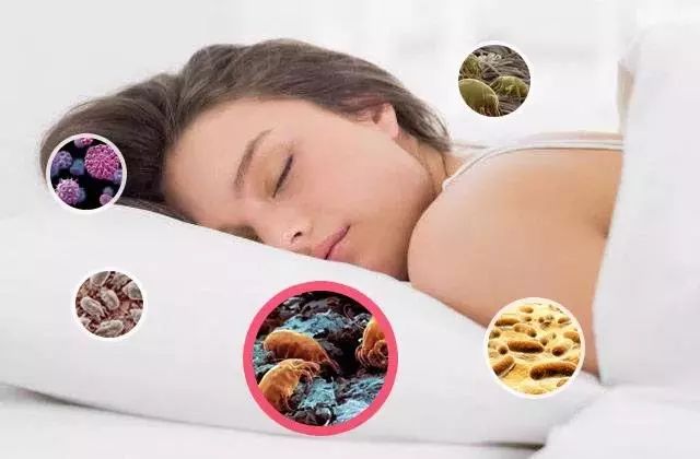 张嘉倪的头发怎么盘的,张嘉倪头发护理