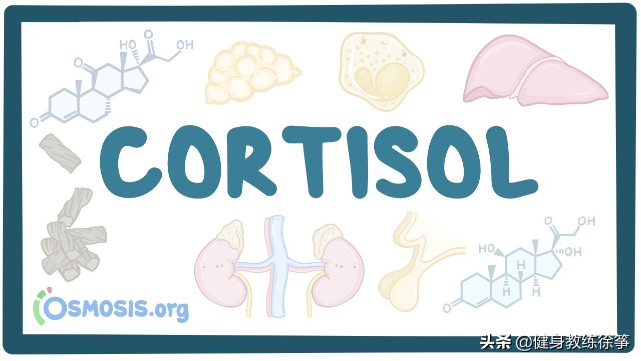 怎么缓解皮质醇,缓解激素的药