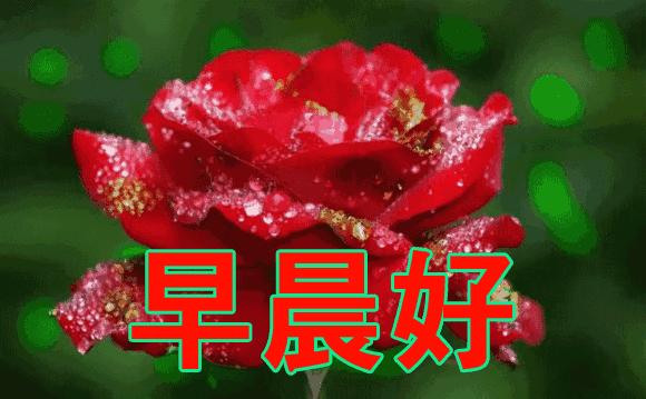 再难也要坚持早安,昨天再好也走不回去明天再难图片