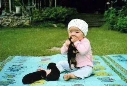 怀孕了还是想养猫猫狗狗怎么办？华西专家：可以养，但绝不能随便养！