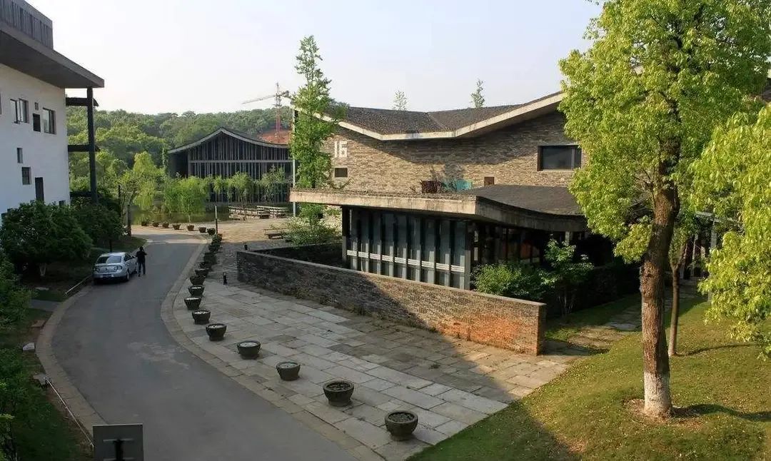 “一字马”女孩罗子欣“又跳了”，这一次：从健美操跳到中国美院