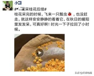 淘宝如何做私域运营,淘宝增销量方法