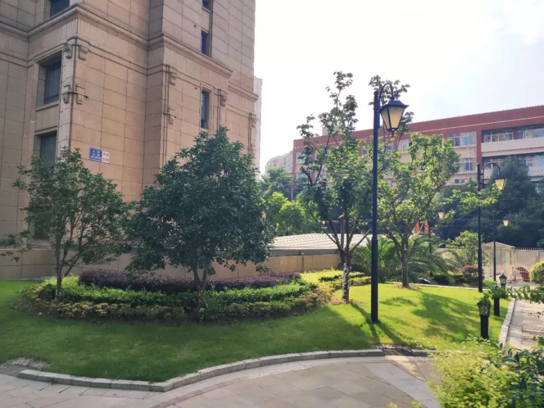 归来仍是少年古玩市场,归来仍是少年季羡林