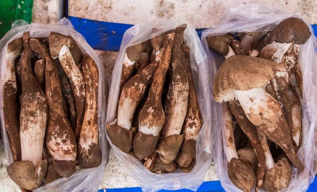 说秋道冬话永胜，气候多样人宜居