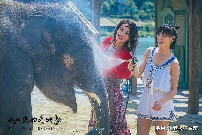 刘青云为什么缺席金像奖,刘青云的真实生活视频