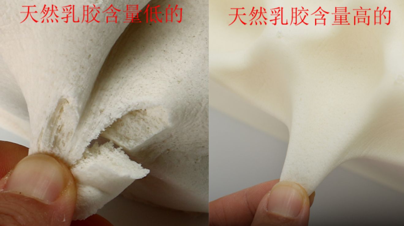 乳胶枕头是智商税么,乳胶枕智商税