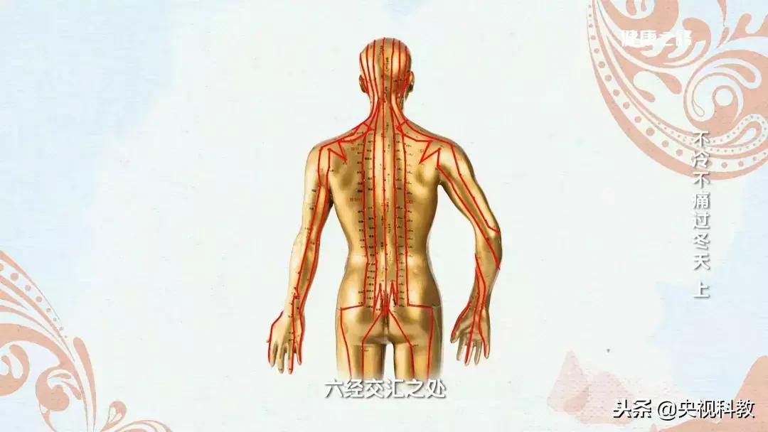 肩颈不适避免哪些动作,教你一招缓解肩颈不舒服