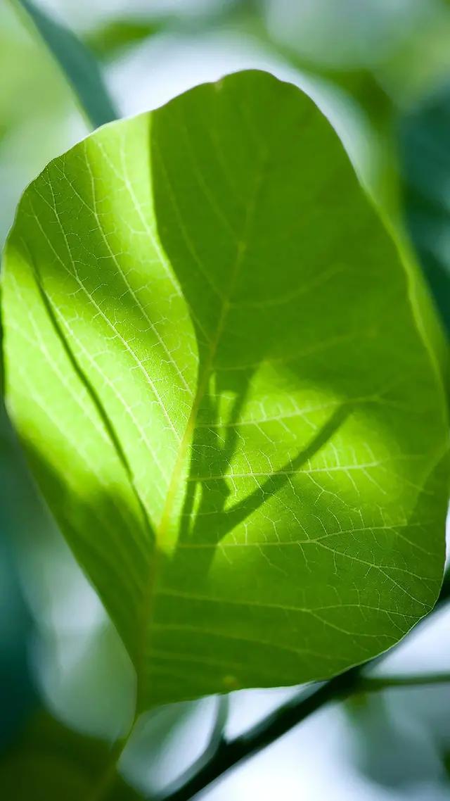 白岩松经典语录感悟人生哲理 (白岩松经典语录集锦好的变成坏的)