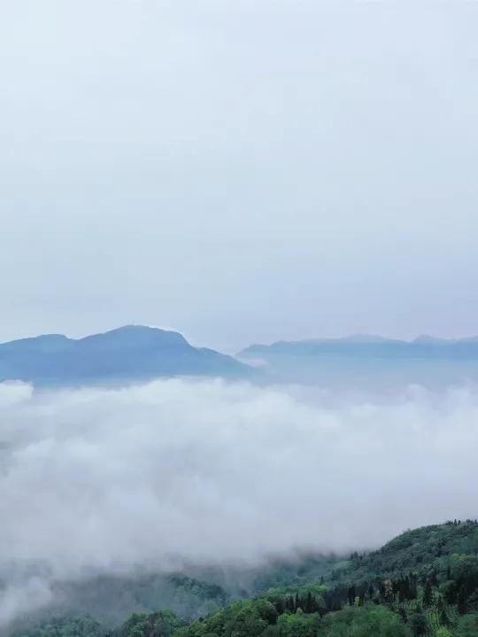 又见蒙顶云海，蒙顶山皇茶大酒店“观海”视野刚刚好！