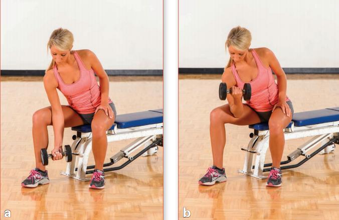 力量训练一周6练训练计划,一天练三个部位的力量训练