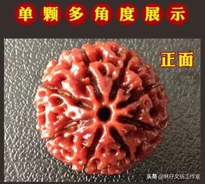 尼泊尔大金刚与落地红的简单区别,印尼大金刚就是落地红吗