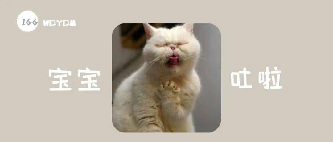 猫咪经常呕吐是什么原因及治疗,猫咪呕吐棕黄色的东西是怎么回事