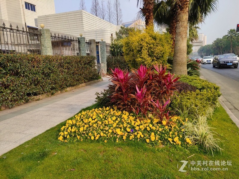 能流畅玩原神的iqoo手机,iqoo水桶机