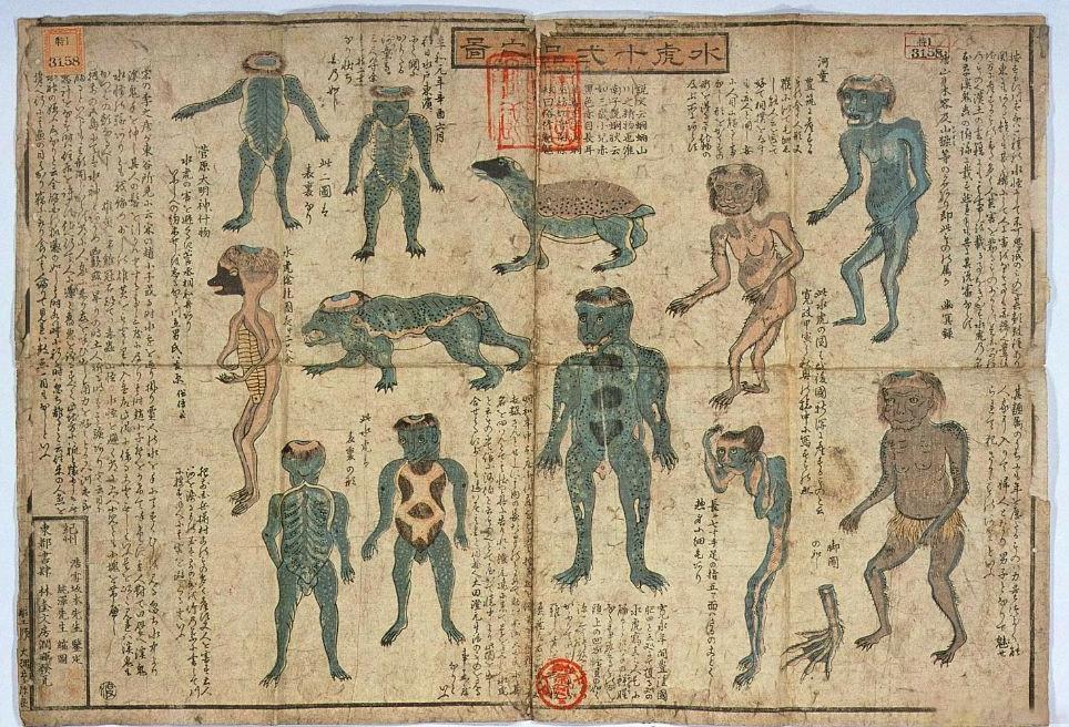 世界妖怪文化探索篇山童,世界妖怪文化探索06