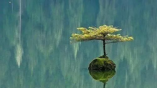 渡人渡心渡自己啥意思,渡人渡心渡自己全诗