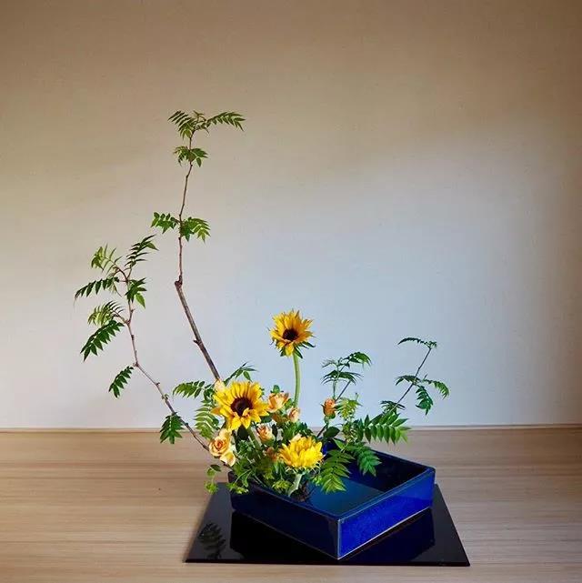 一花一世界一叶一菩提本来无一物,一花一世界一叶一菩提一场梦