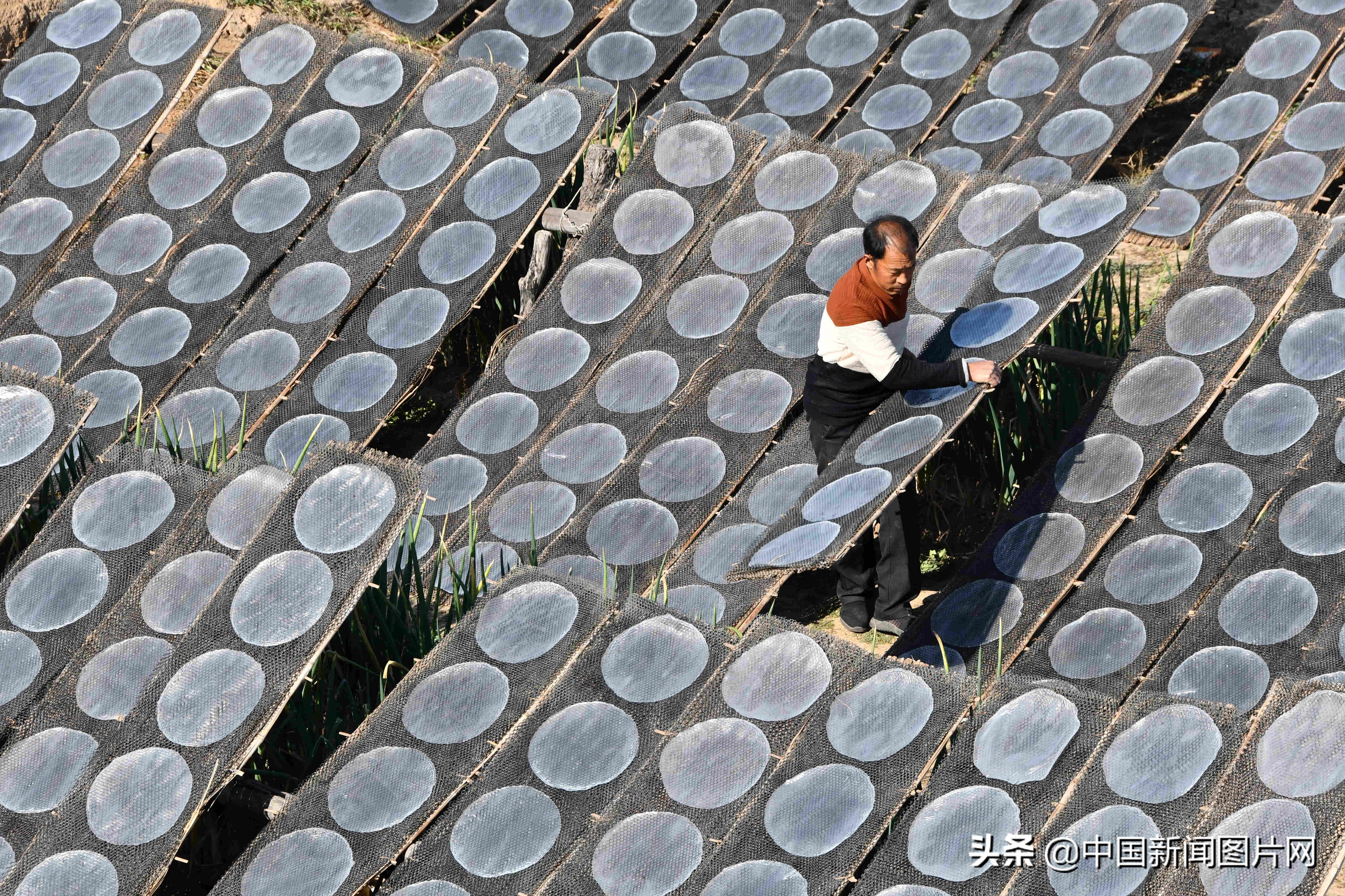 黄县手工粉皮现做现卖,粉皮加工厂致富项目