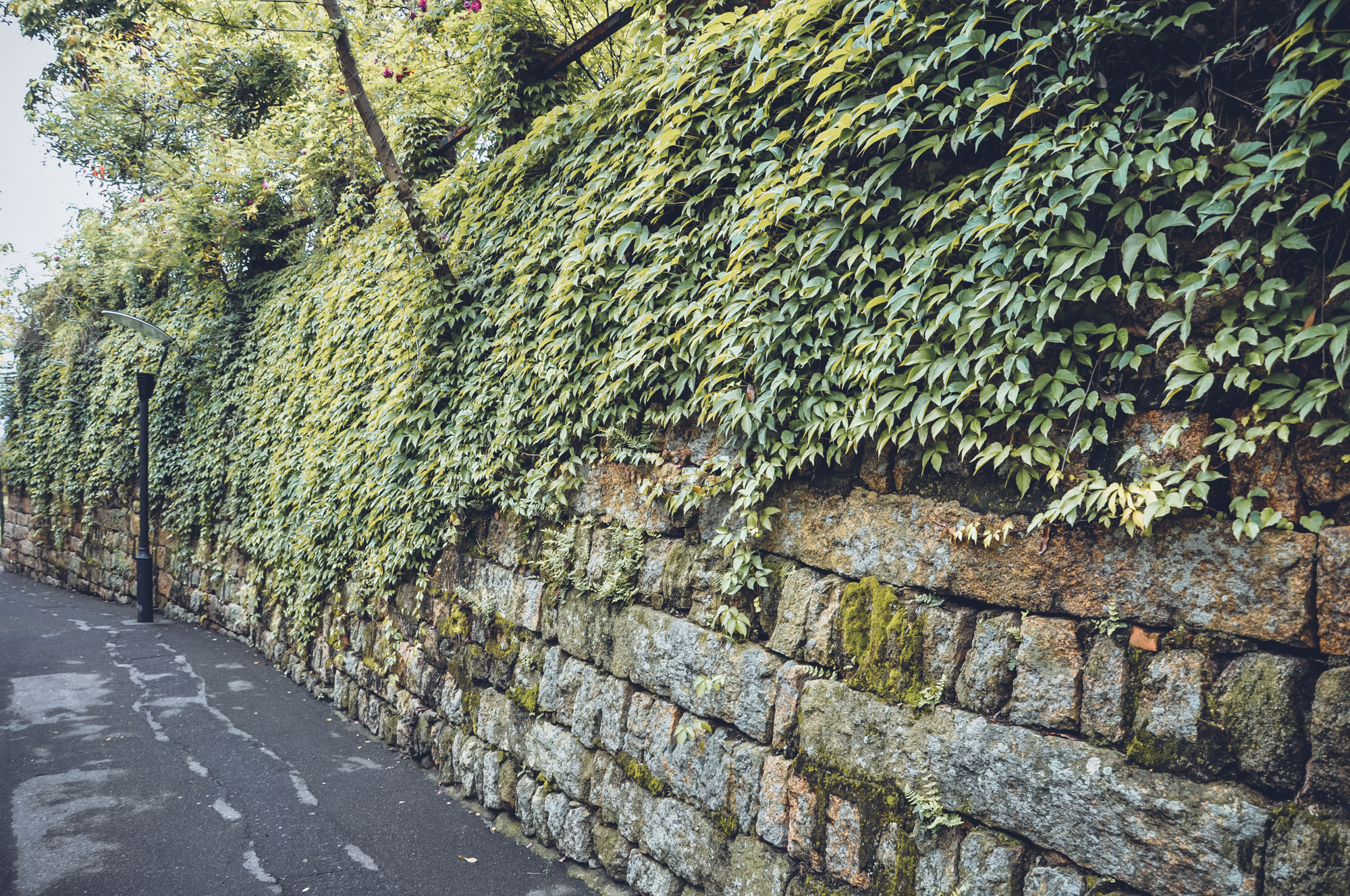 福州鼓浪屿商业化改造,鼓浪屿市井风情