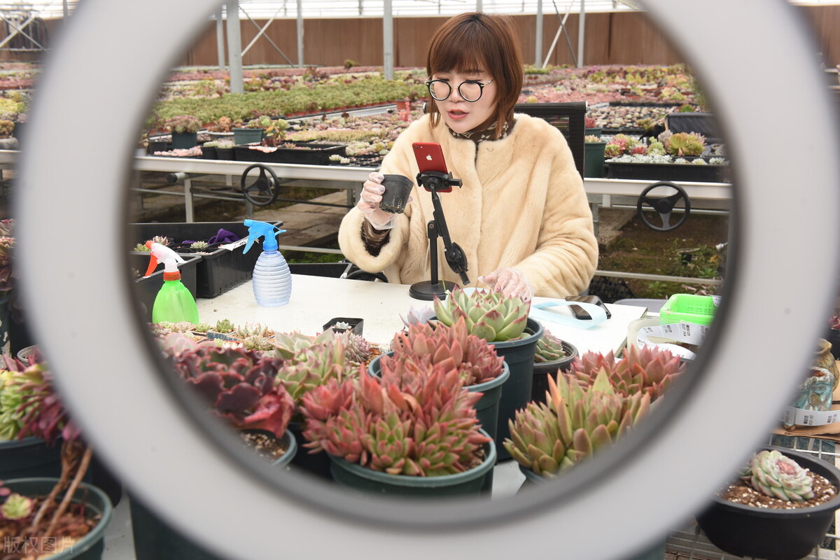 乡村振兴下的农村创业前景分析,乡村振兴山区农业出路在哪里