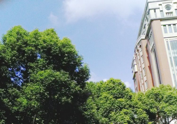 走进上海中科院,上海理工大学历史