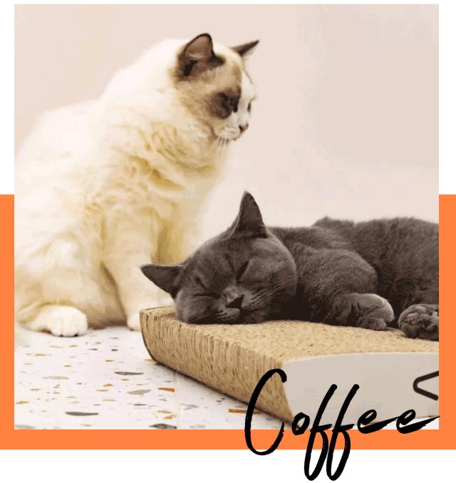 杩涘叆绾康纰戝康纰戣胺,杩涘叆绾康纰戣胺