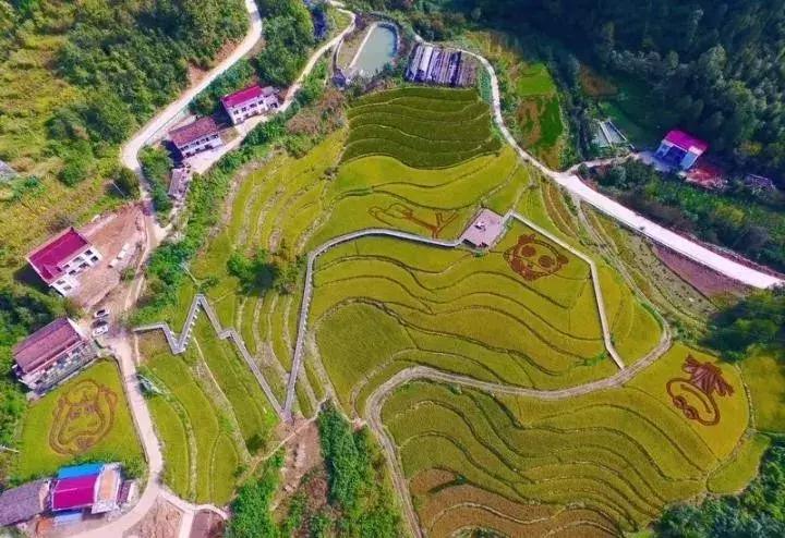 陕西省哪些市发展好,陕西各个县发展排名