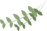 推文短篇黑化男主,女主黑化的推文