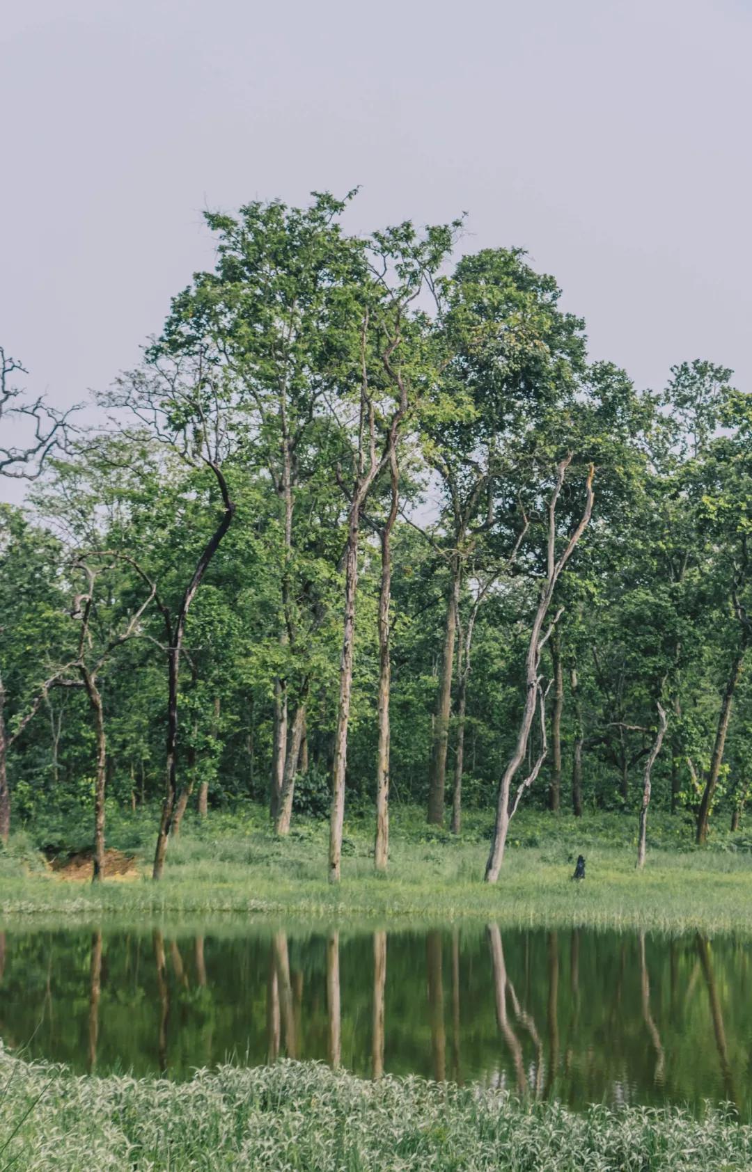 *局骗**和微笑,3000元带你体验双面尼泊尔