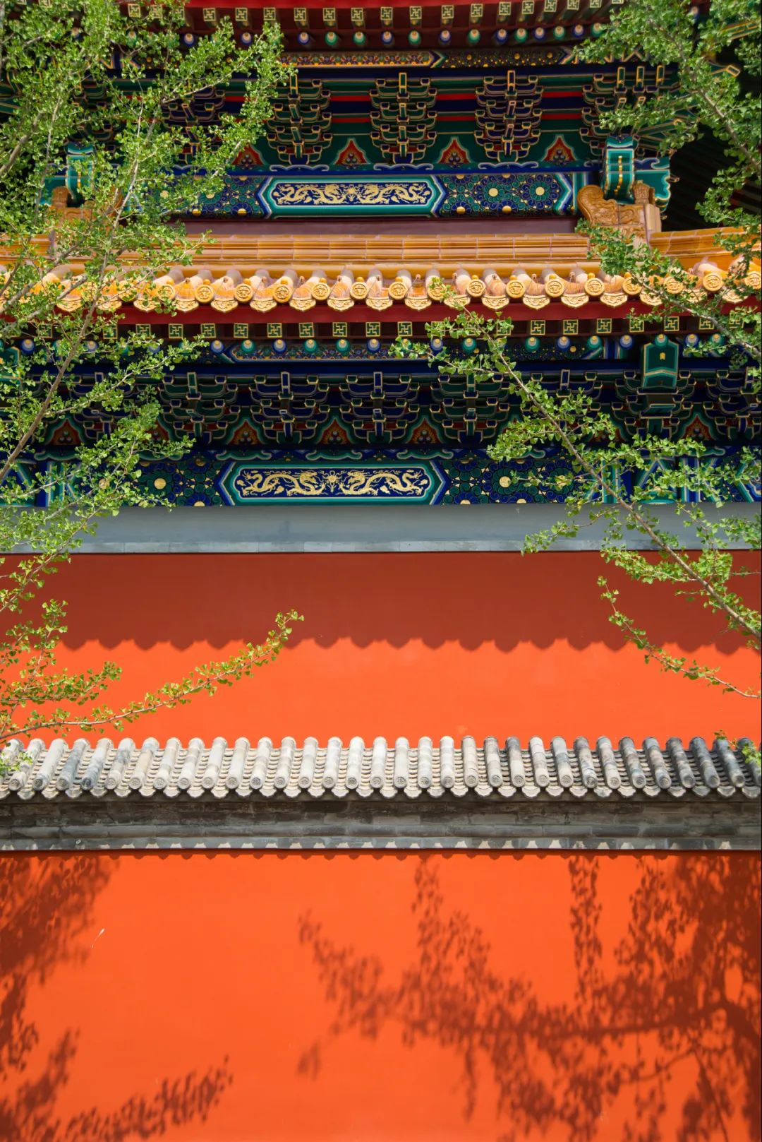 冬季山东旅行经典路线组合,秋冬山东省内旅游