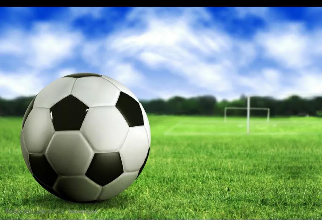 春天里的致敬,春天里的致敬合拍