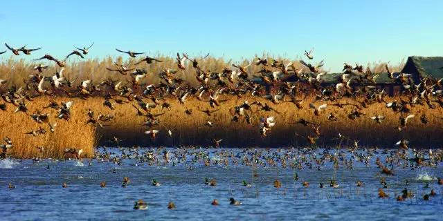 上海的魅力在什么地方,上海十六个区哪个区最好