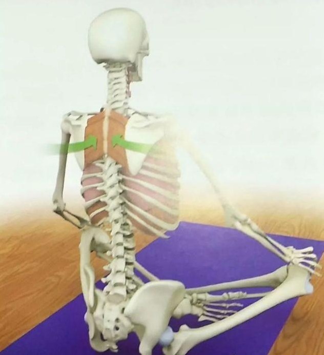 呼吸过度可以通过憋气缓解吗,气短每天做10分钟深呼吸有好处吗